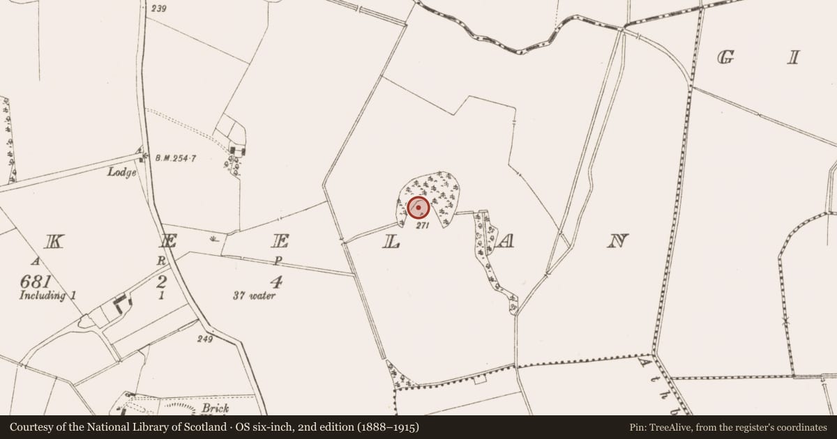 Ordnance Survey six-inch map, 2nd edition (1888–1915) covering the location of Mound, Kilkeelan, County Meath, with a pin at the register's coordinates