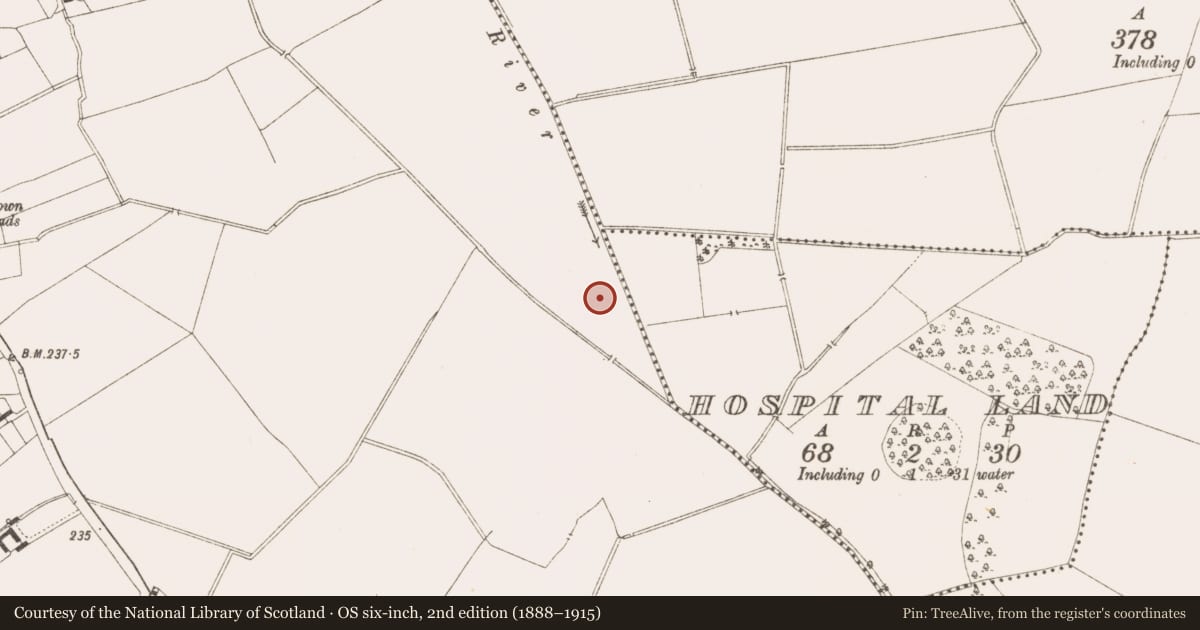 Ordnance Survey six-inch map, 2nd edition (1888–1915) covering the location of Ringfort - rath, Martinstown, County Meath, with a pin at the register's coordinates