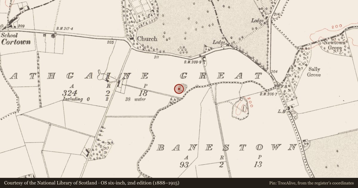 Ordnance Survey six-inch map, 2nd edition (1888–1915) covering the location of Moated site, Athgaine Great, County Meath, with a pin at the register's coordinates