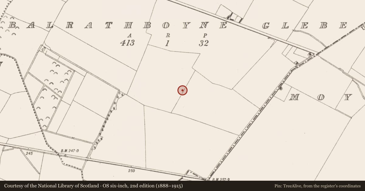Ordnance Survey six-inch map, 2nd edition (1888–1915) covering the location of Souterrain, Balrathboyne Glebe, County Meath, with a pin at the register's coordinates