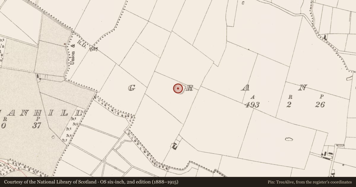 Ordnance Survey six-inch map, 2nd edition (1888–1915) covering the location of Ringfort - rath, Grange, County Meath, with a pin at the register's coordinates
