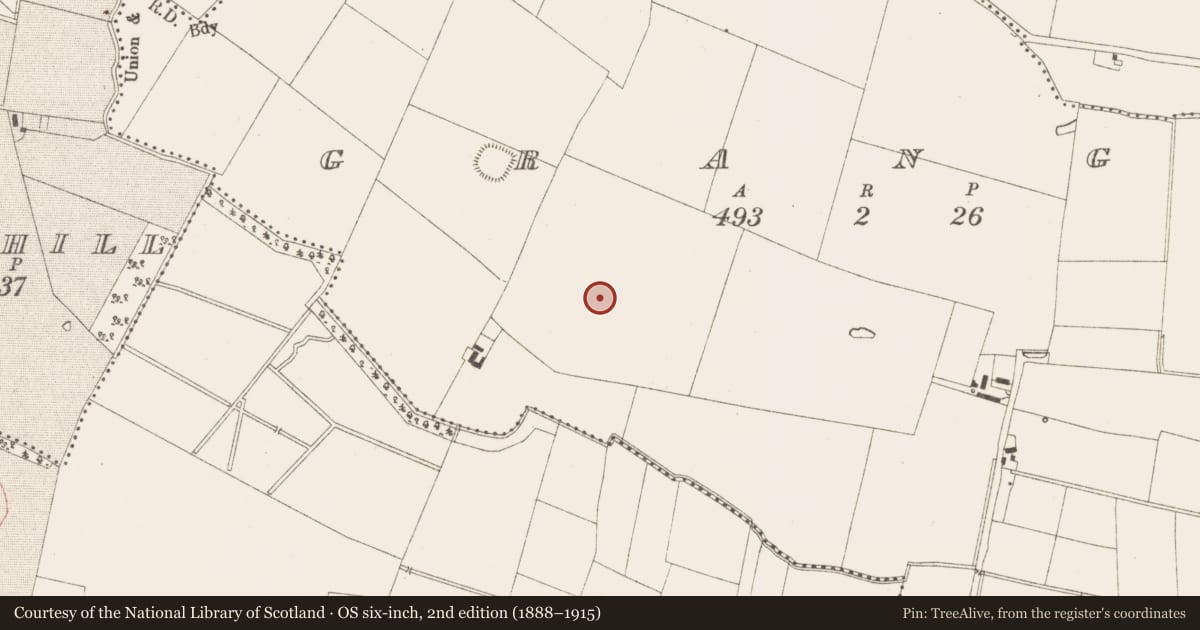 Ordnance Survey six-inch map, 2nd edition (1888–1915) covering the location of Church, Grange, County Meath, with a pin at the register's coordinates