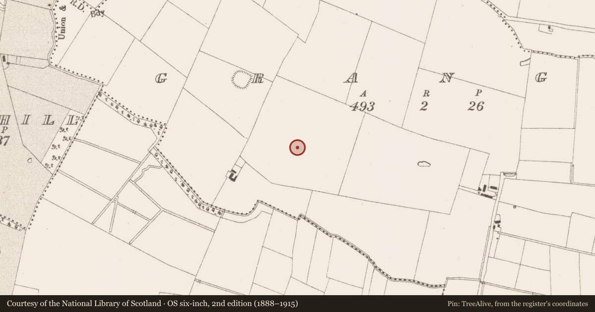 Ordnance Survey six-inch map, 2nd edition (1888–1915) covering the location of Graveyard, Grange, County Meath, with a pin at the register's coordinates