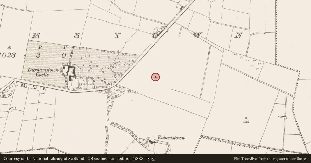 Ordnance Survey six-inch map, 2nd edition (1888–1915) covering the location of Church, Durhamstown, County Meath, with a pin at the register's coordinates