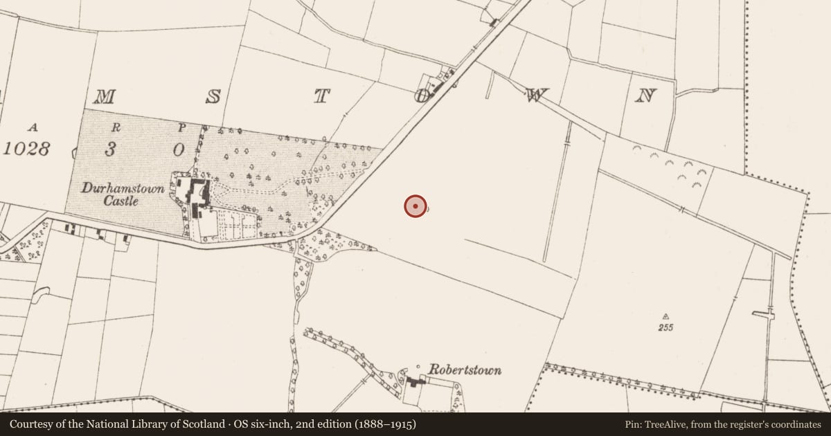 Ordnance Survey six-inch map, 2nd edition (1888–1915) covering the location of Graveyard, Durhamstown, County Meath, with a pin at the register's coordinates
