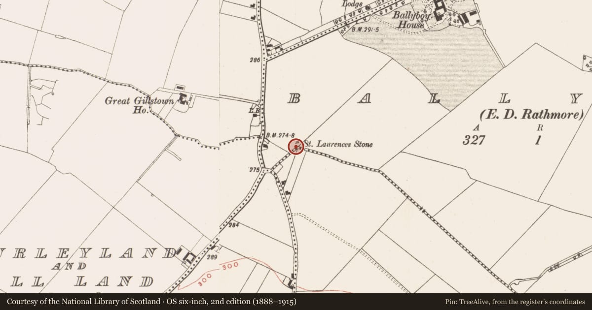 Ordnance Survey six-inch map, 2nd edition (1888–1915) covering the location of Ritual site - holy/saint's stone, Ballyboy (Lune By., Rathmore Par.), County Meath, with a pin at the register's coordinates