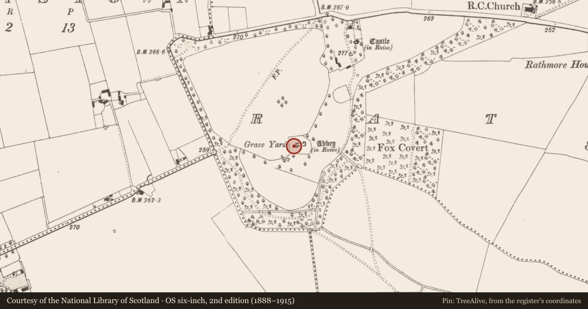 Ordnance Survey six-inch map, 2nd edition (1888–1915) covering the location of Stone sculpture, Rathmore, County Meath, with a pin at the register's coordinates