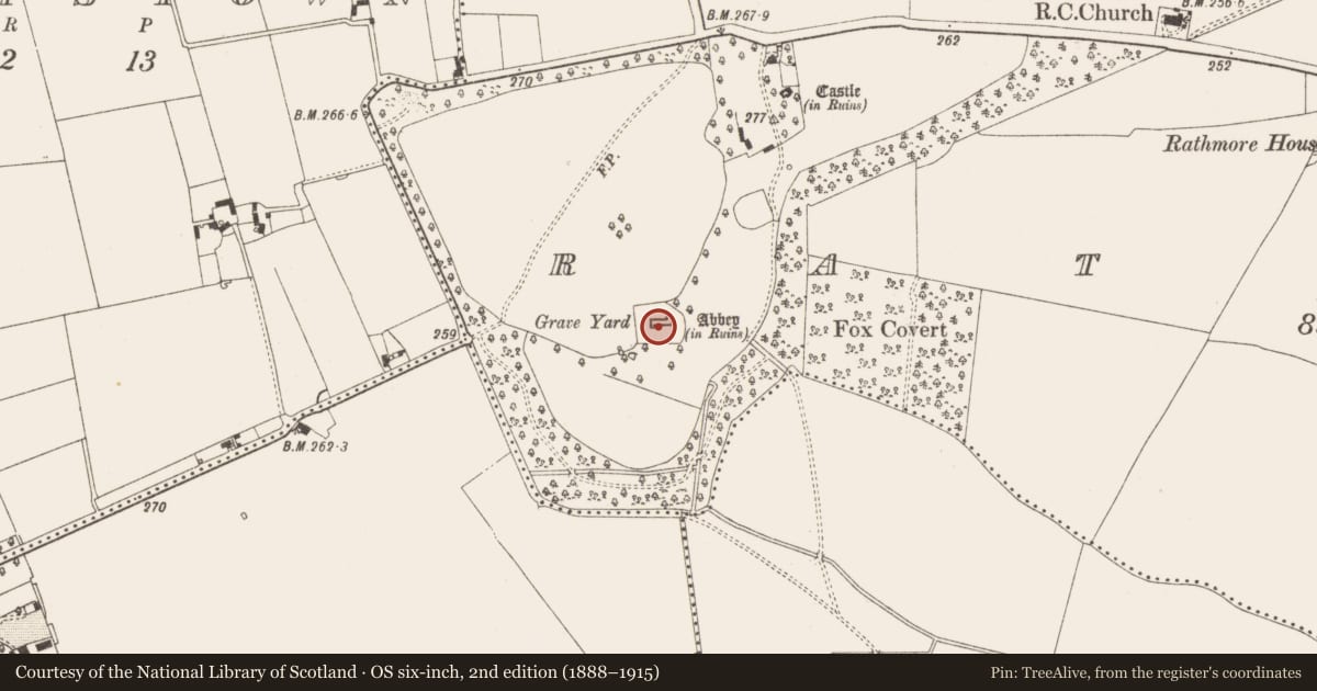 Ordnance Survey six-inch map, 2nd edition (1888–1915) covering the location of Graveslab, Rathmore, County Meath, with a pin at the register's coordinates