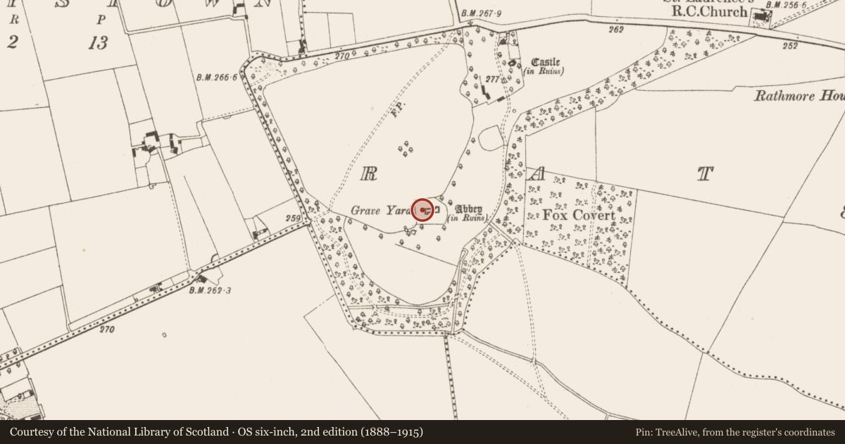 Ordnance Survey six-inch map, 2nd edition (1888–1915) covering the location of Memorial stone, Rathmore, County Meath, with a pin at the register's coordinates