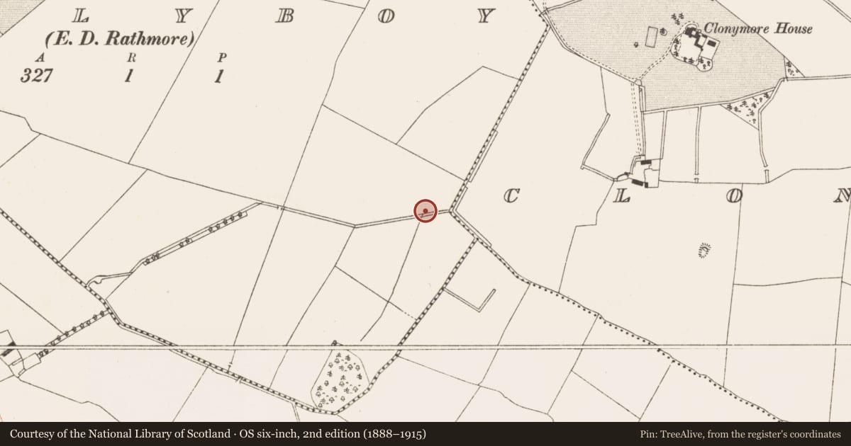 Ordnance Survey six-inch map, 2nd edition (1888–1915) covering the location of Enclosure, Ballyboy (Lune By., Rathmore Par.), County Meath, with a pin at the register's coordinates