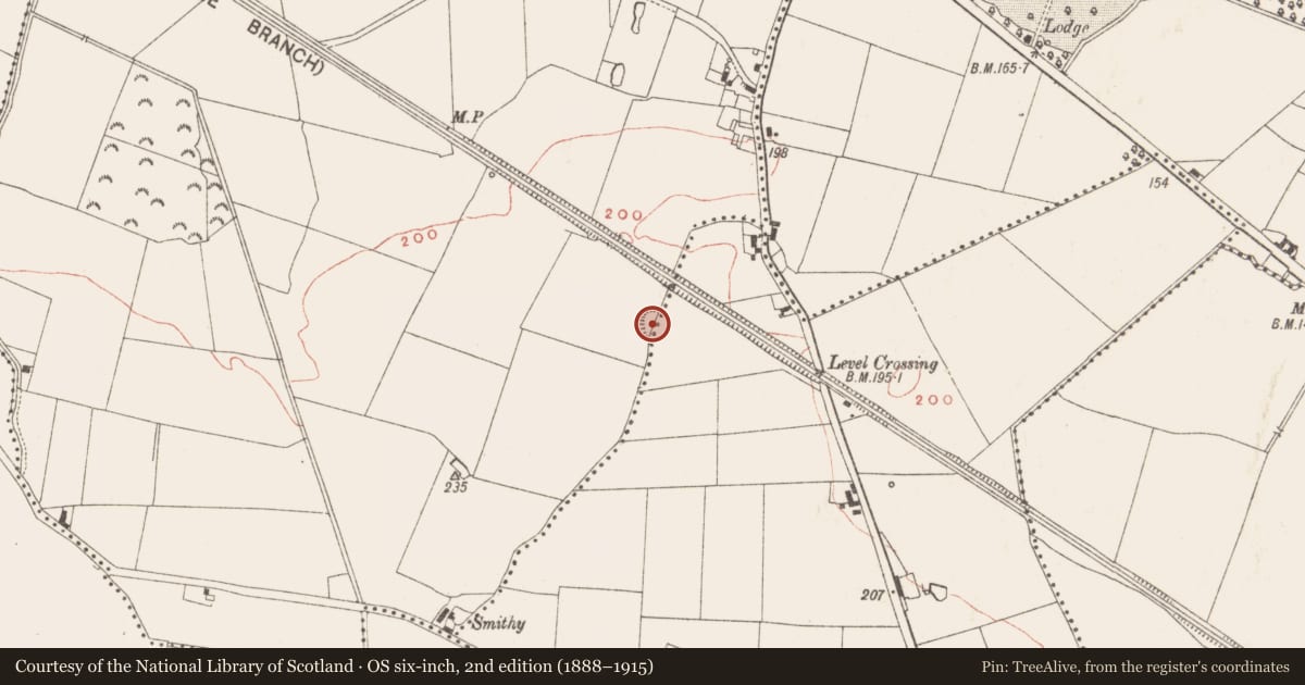 Ordnance Survey six-inch map, 2nd edition (1888–1915) covering the location of Ringfort - rath, Ardbraccan, Tankardstown, County Meath, with a pin at the register's coordinates
