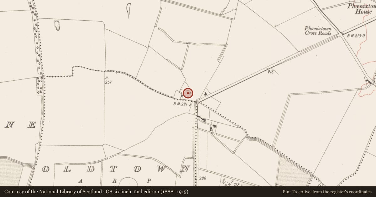 Ordnance Survey six-inch map, 2nd edition (1888–1915) covering the location of Ritual site - holy well, Phoenixtown, County Meath, with a pin at the register's coordinates