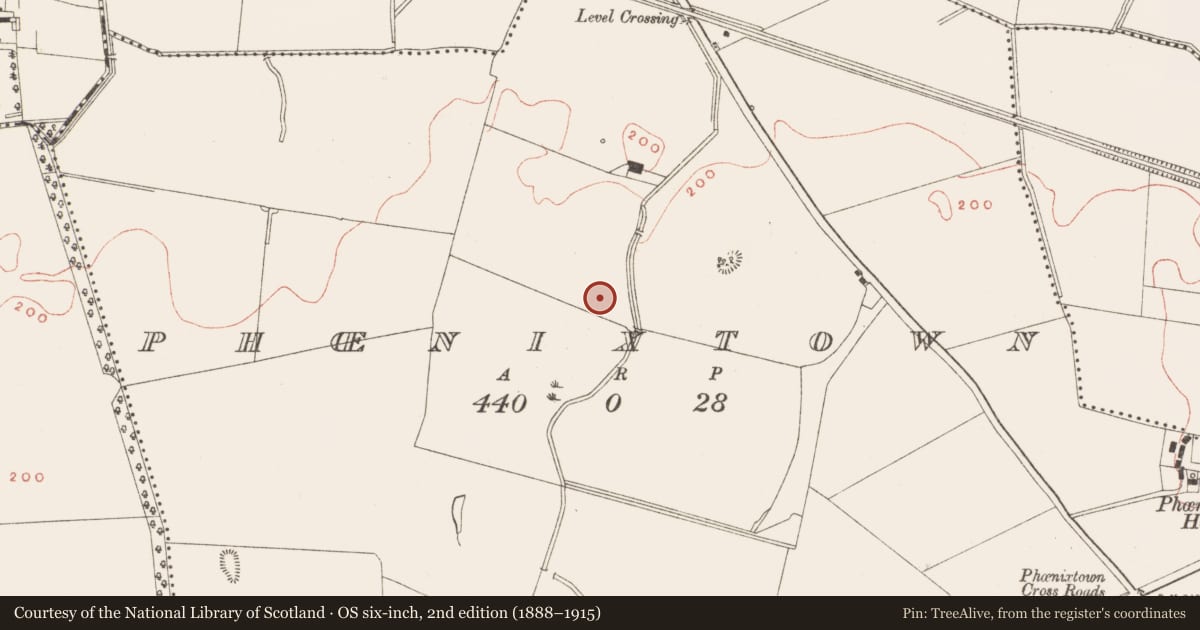 Ordnance Survey six-inch map, 2nd edition (1888–1915) covering the location of Road - road/trackway, Phoenixtown, County Meath, with a pin at the register's coordinates
