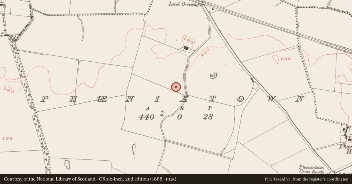Ordnance Survey six-inch map, 2nd edition (1888–1915) covering the location of Kiln - corn-drying, Phoenixtown, County Meath, with a pin at the register's coordinates