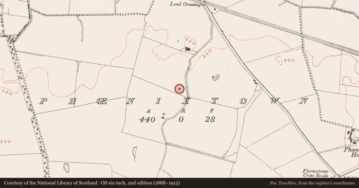 Ordnance Survey six-inch map, 2nd edition (1888–1915) covering the location of Kiln - corn-drying, Phoenixtown, County Meath, with a pin at the register's coordinates