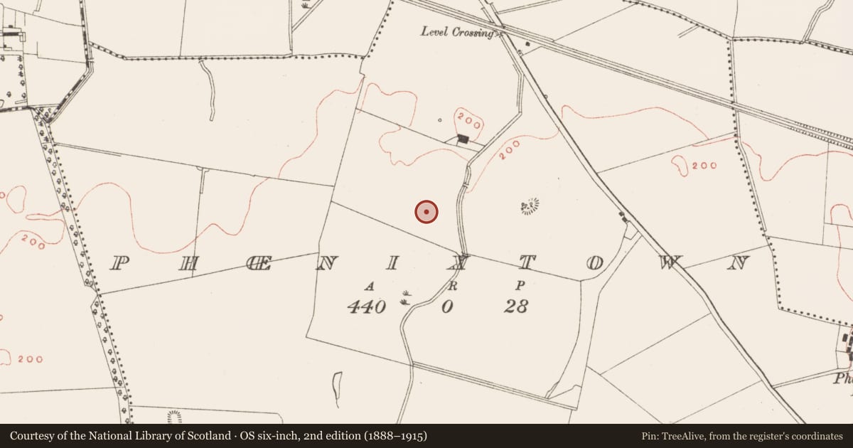 Ordnance Survey six-inch map, 2nd edition (1888–1915) covering the location of Kiln - corn-drying, Phoenixtown, County Meath, with a pin at the register's coordinates