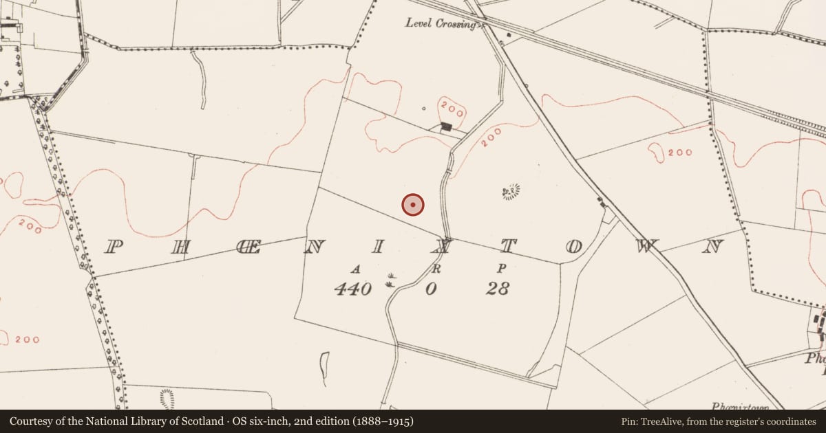 Ordnance Survey six-inch map, 2nd edition (1888–1915) covering the location of Mill - threshing, Phoenixtown, County Meath, with a pin at the register's coordinates