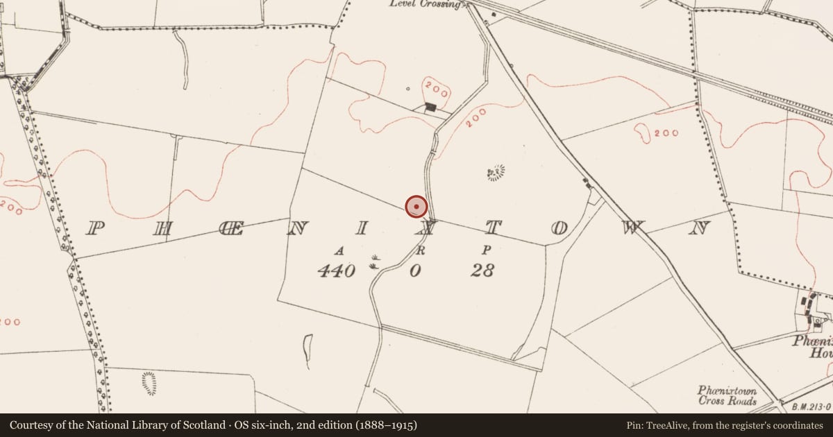Ordnance Survey six-inch map, 2nd edition (1888–1915) covering the location of Pit, Phoenixtown, County Meath, with a pin at the register's coordinates