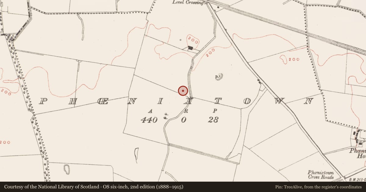 Ordnance Survey six-inch map, 2nd edition (1888–1915) covering the location of Structure, Phoenixtown, County Meath, with a pin at the register's coordinates