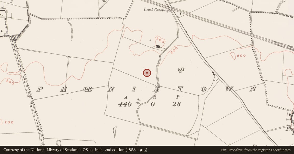 Ordnance Survey six-inch map, 2nd edition (1888–1915) covering the location of Field system, Phoenixtown, County Meath, with a pin at the register's coordinates