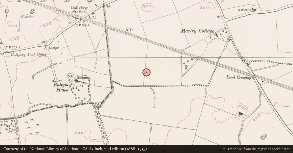 Ordnance Survey six-inch map, 2nd edition (1888–1915) covering the location of Fulacht fia, Martry, County Meath, with a pin at the register's coordinates