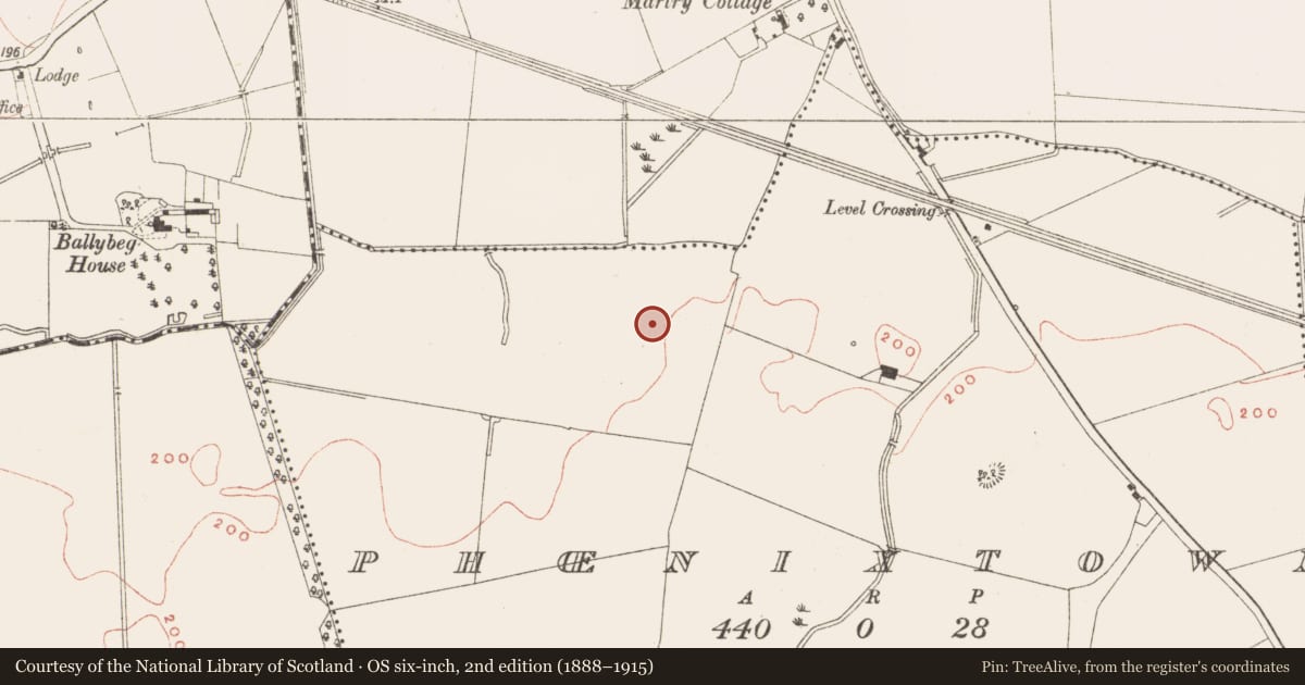 Ordnance Survey six-inch map, 2nd edition (1888–1915) covering the location of Hut site, Phoenixtown, County Meath, with a pin at the register's coordinates