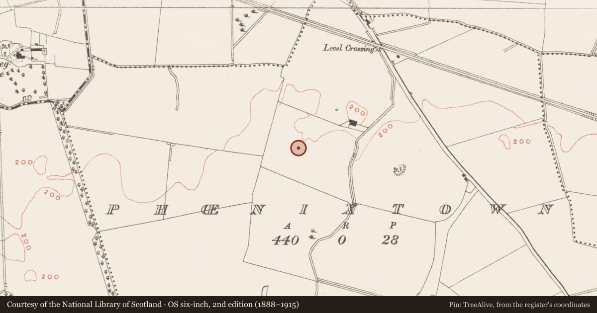 Ordnance Survey six-inch map, 2nd edition (1888–1915) covering the location of Excavation - miscellaneous, Phoenixtown, County Meath, with a pin at the register's coordinates