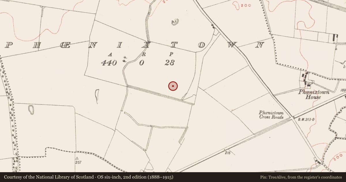 Ordnance Survey six-inch map, 2nd edition (1888–1915) covering the location of Fulacht fia, Phoenixtown, County Meath, with a pin at the register's coordinates