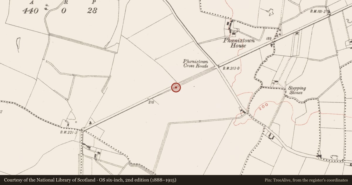 Ordnance Survey six-inch map, 2nd edition (1888–1915) covering the location of Excavation - miscellaneous, Phoenixtown, County Meath, with a pin at the register's coordinates