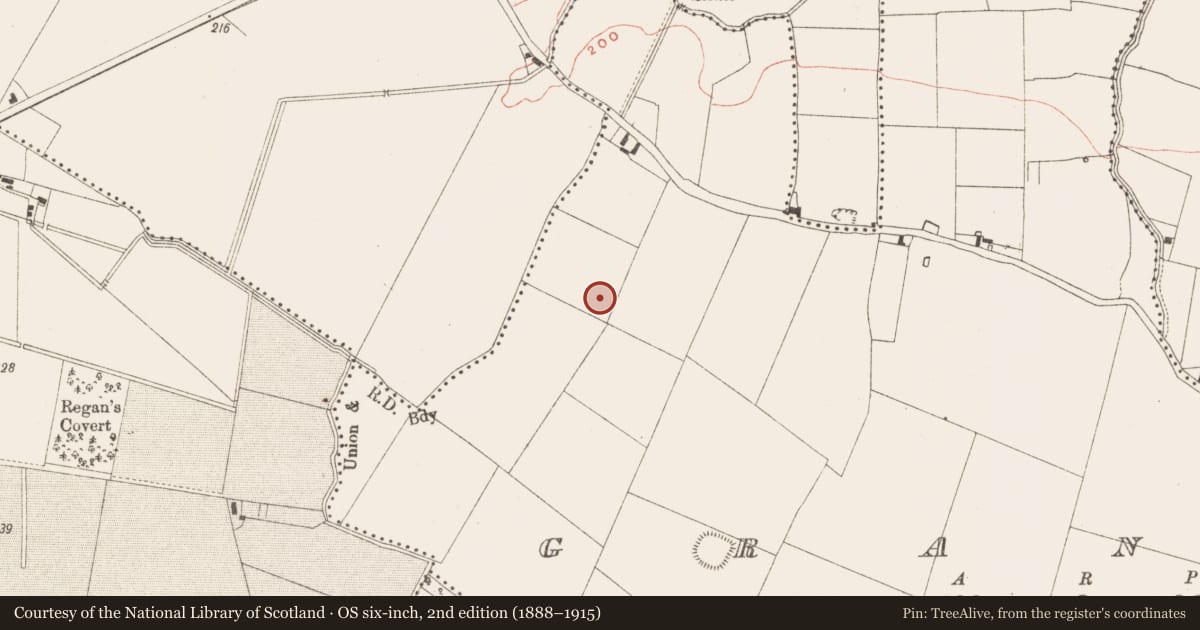 Ordnance Survey six-inch map, 2nd edition (1888–1915) covering the location of Kiln - corn-drying, Grange, County Meath, with a pin at the register's coordinates