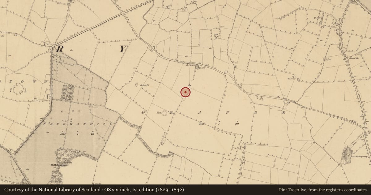 Ordnance Survey six-inch map, 1st edition (1829–1842) covering the location of Pit, Grange, County Meath, with a pin at the register's coordinates
