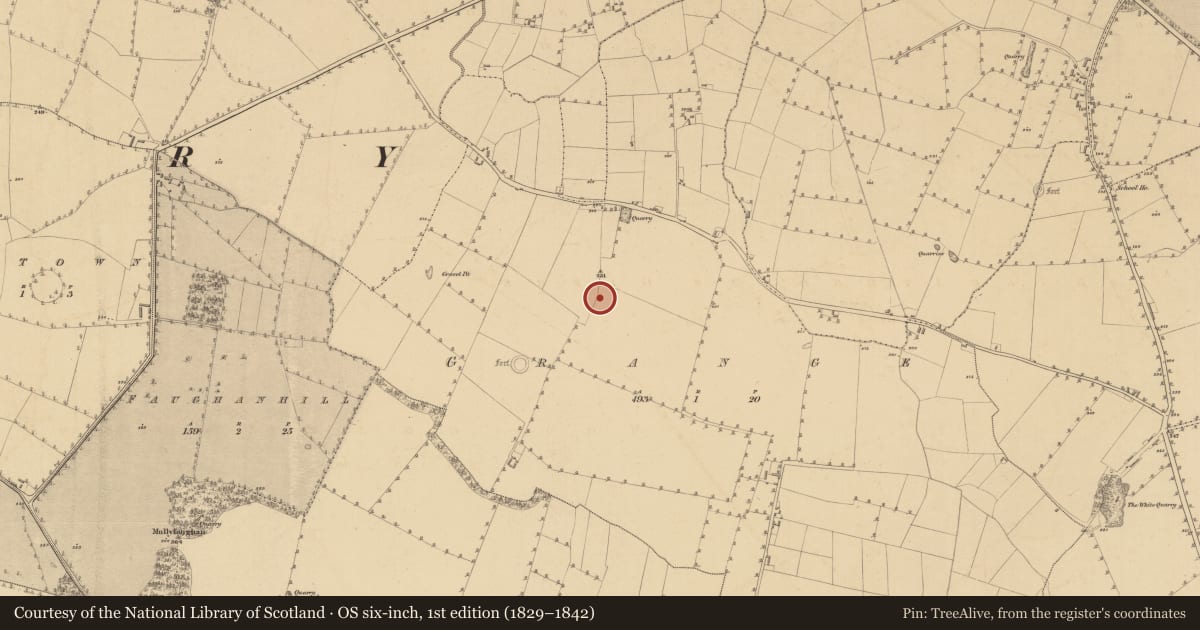 Ordnance Survey six-inch map, 1st edition (1829–1842) covering the location of Ring-ditch, Grange, County Meath, with a pin at the register's coordinates
