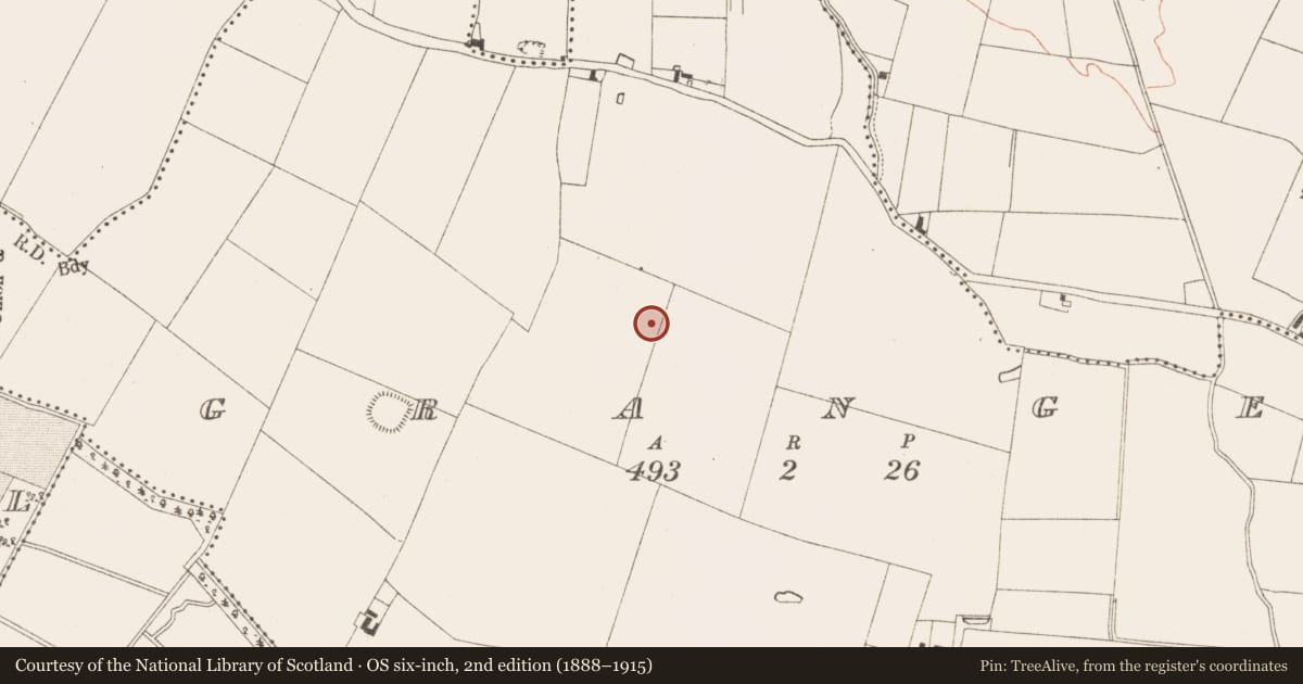 Ordnance Survey six-inch map, 2nd edition (1888–1915) covering the location of Field boundary, Grange, County Meath, with a pin at the register's coordinates