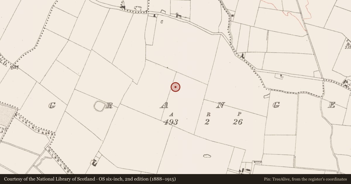 Ordnance Survey six-inch map, 2nd edition (1888–1915) covering the location of Pit-burial, Grange, County Meath, with a pin at the register's coordinates
