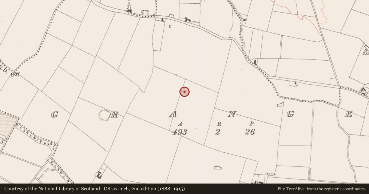 Ordnance Survey six-inch map, 2nd edition (1888–1915) covering the location of Metalworking site, Grange, County Meath, with a pin at the register's coordinates