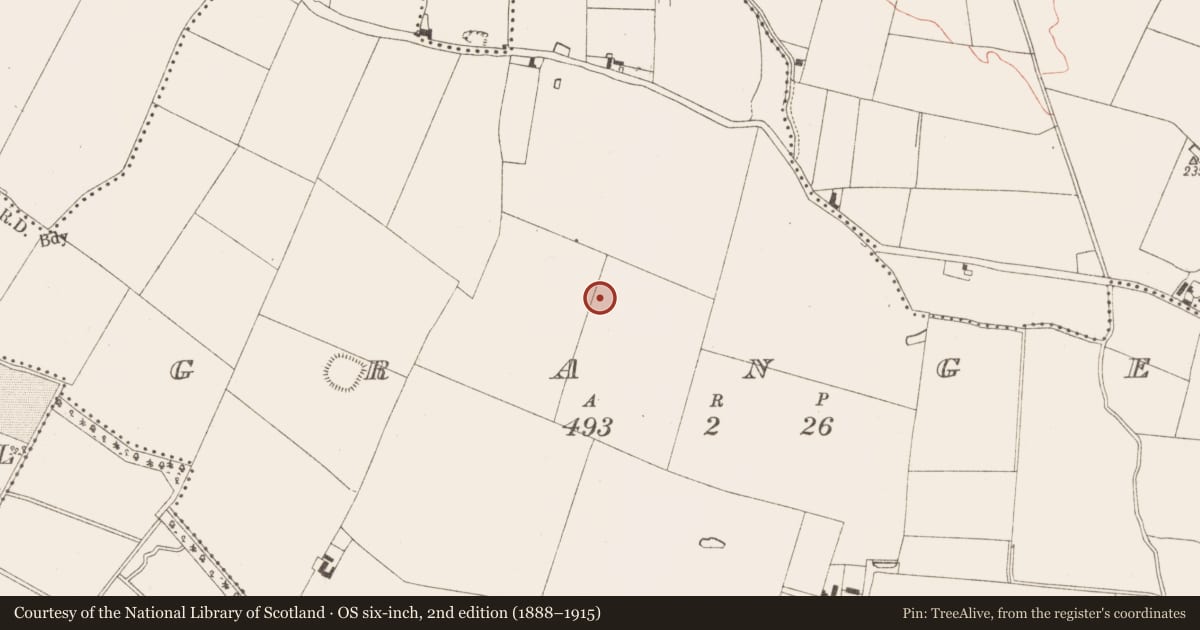 Ordnance Survey six-inch map, 2nd edition (1888–1915) covering the location of Kiln - corn-drying, Grange, County Meath, with a pin at the register's coordinates