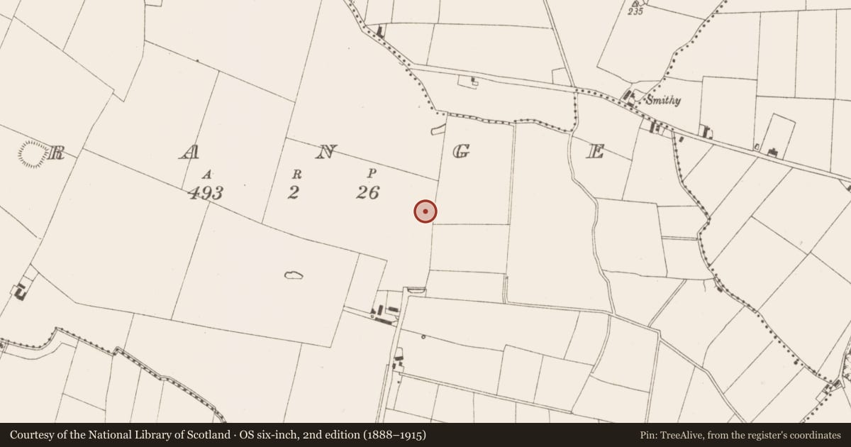 Ordnance Survey six-inch map, 2nd edition (1888–1915) covering the location of Excavation - miscellaneous, Grange, County Meath, with a pin at the register's coordinates