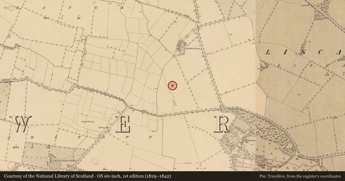 Ordnance Survey six-inch map, 1st edition (1829–1842) covering the location of Ring-ditch, Ardbraccan, County Meath, with a pin at the register's coordinates