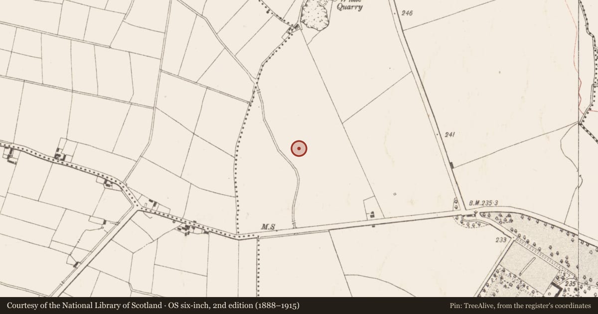 Ordnance Survey six-inch map, 2nd edition (1888–1915) covering the location of Ring-ditch, Ardbraccan, County Meath, with a pin at the register's coordinates