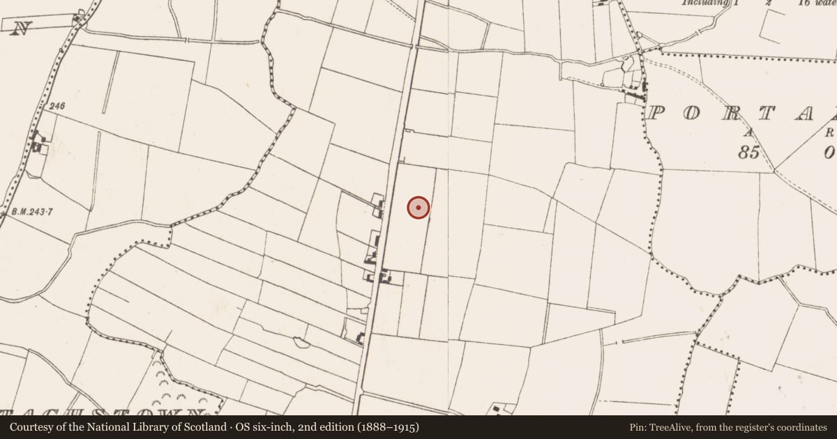 Ordnance Survey six-inch map, 2nd edition (1888–1915) covering the location of Fulacht fia, Ardbraccan, County Meath, with a pin at the register's coordinates
