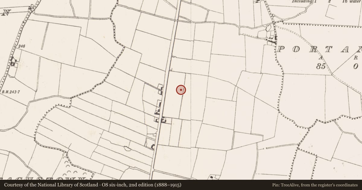 Ordnance Survey six-inch map, 2nd edition (1888–1915) covering the location of Ringfort - rath, Ardbraccan, County Meath, with a pin at the register's coordinates