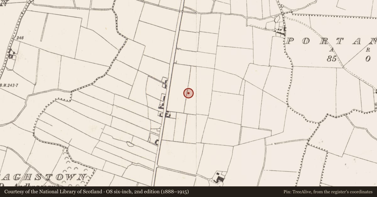 Ordnance Survey six-inch map, 2nd edition (1888–1915) covering the location of Kiln - corn-drying, Ardbraccan, County Meath, with a pin at the register's coordinates