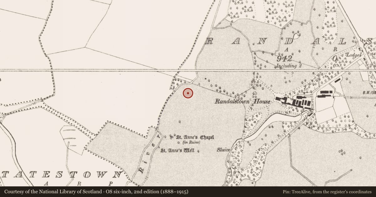 Ordnance Survey six-inch map, 2nd edition (1888–1915) covering the location of House - early medieval, Randalstown, County Meath, with a pin at the register's coordinates
