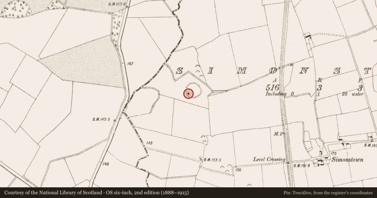 Ordnance Survey six-inch map, 2nd edition (1888–1915) covering the location of Hut site, Randalstown, County Meath, with a pin at the register's coordinates