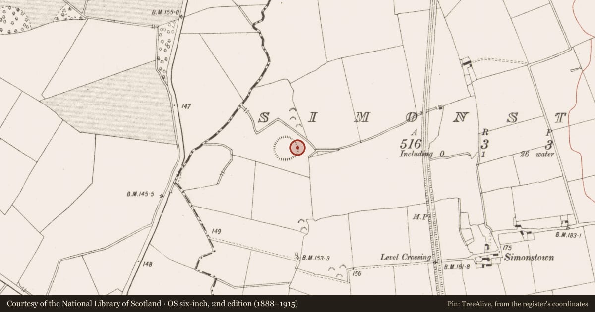 Ordnance Survey six-inch map, 2nd edition (1888–1915) covering the location of Metalworking site, Randalstown, County Meath, with a pin at the register's coordinates