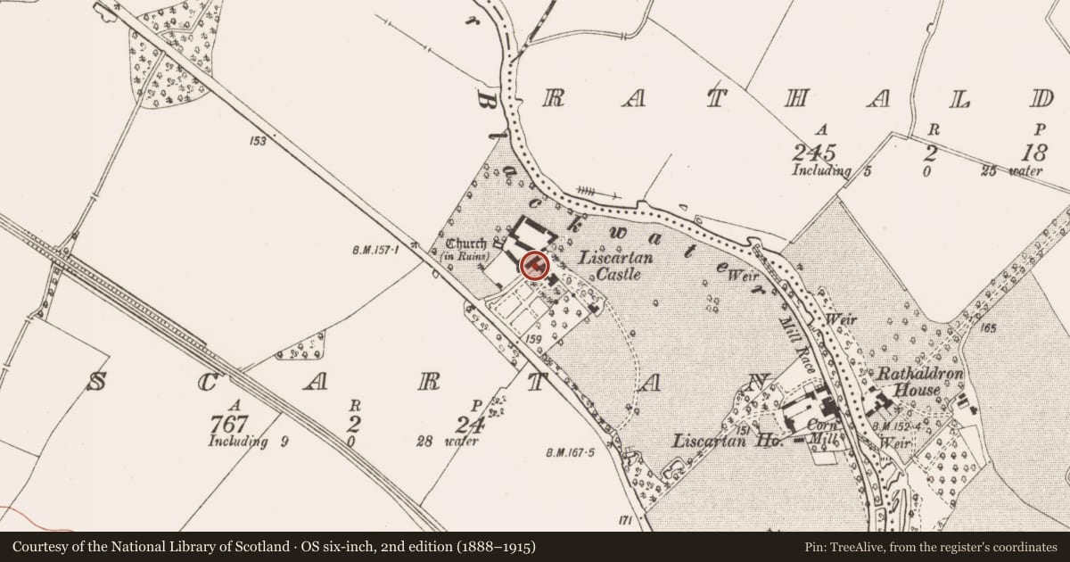 Ordnance Survey six-inch map, 2nd edition (1888–1915) covering the location of Castle - tower house, Liscartan, County Meath, with a pin at the register's coordinates