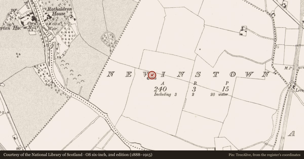Ordnance Survey six-inch map, 2nd edition (1888–1915) covering the location of Cross - Wayside cross, Nevinstown, County Meath, with a pin at the register's coordinates