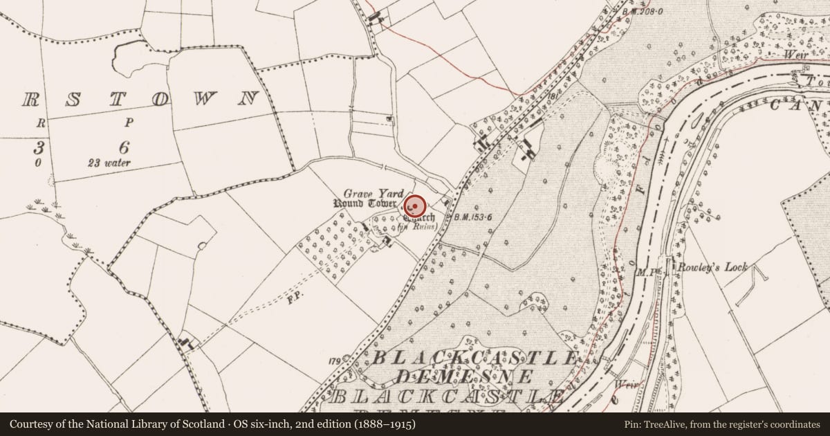 Ordnance Survey six-inch map, 2nd edition (1888–1915) covering the location of Cross-slab, Donaghmore, County Meath, with a pin at the register's coordinates