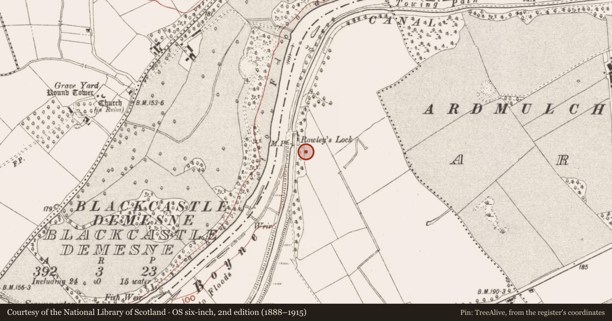 Ordnance Survey six-inch map, 2nd edition (1888–1915) covering the location of Cist, Ferganstown And Ballymacon, County Meath, with a pin at the register's coordinates