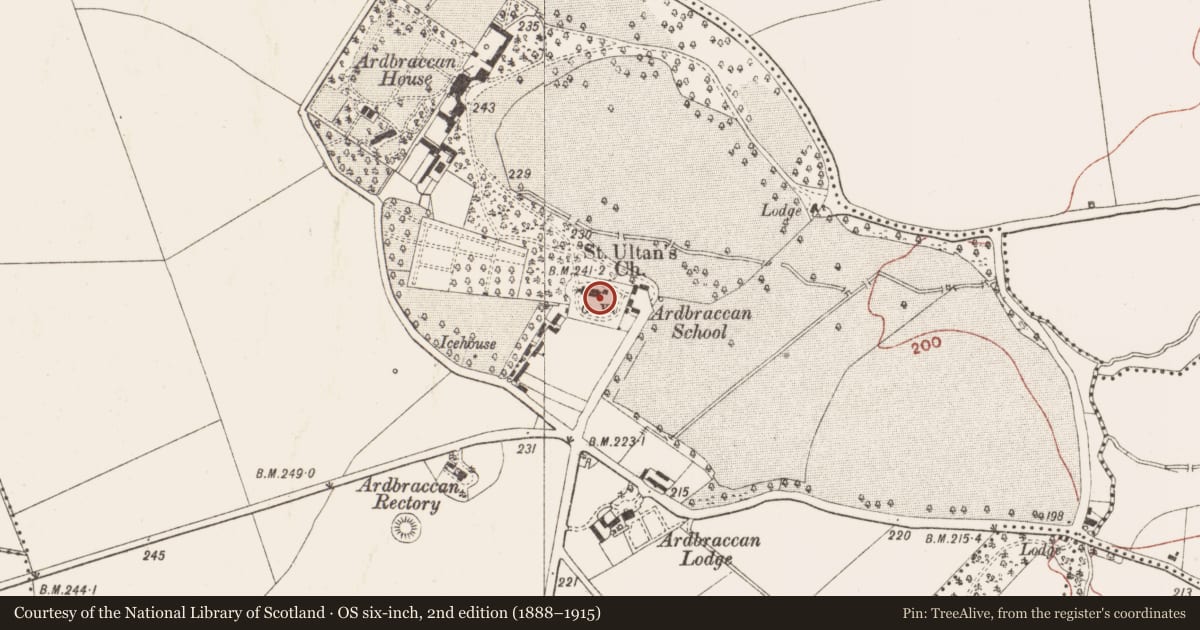 Ordnance Survey six-inch map, 2nd edition (1888–1915) covering the location of Tomb - chest tomb, Ardbraccan, County Meath, with a pin at the register's coordinates